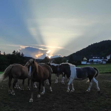 Ferienwohnung Am Tor Zum Thueringer Wald Plaue  Dış mekan fotoğraf